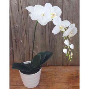Orchidée artificielle en pot H 98 cm FLORA Flora