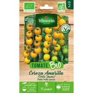 GRAINE - SEMENCE Tomate cherry jaune bio Vilmorin