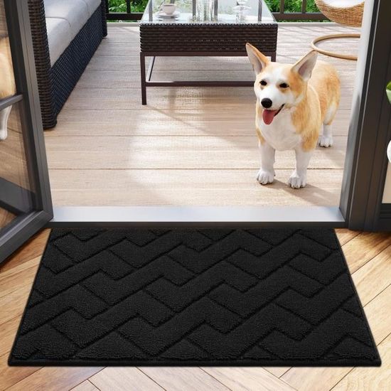 Lot De 2 Tapis De Porte Paillasson 40x60cm Anthracite - Antidérapant Absorbant Intérieur Extérieur
