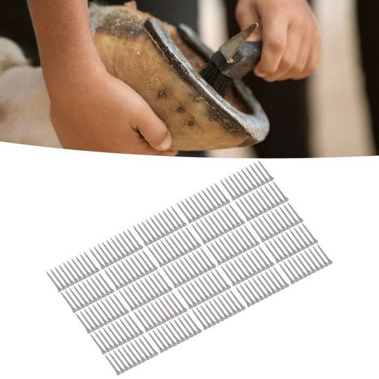 Lot De 50 Clous En Fer à Cheval Pour écurie, Résistants à L