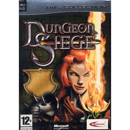 Dungeon Siege Psp - vue 3