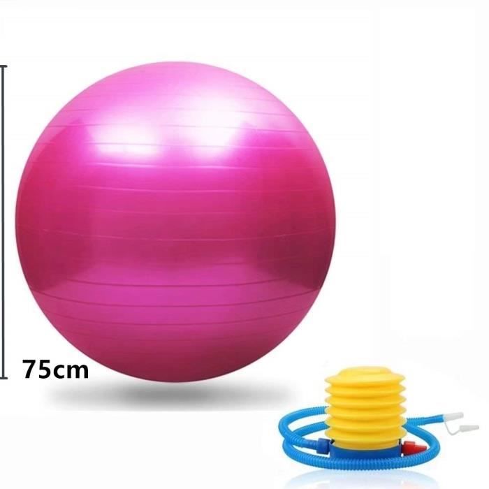 Ballon d'exercice Gym Fitness Yoga Ballon anti-éclatement - Ballon d'exercice robuste avec pompe-75cm-Rose