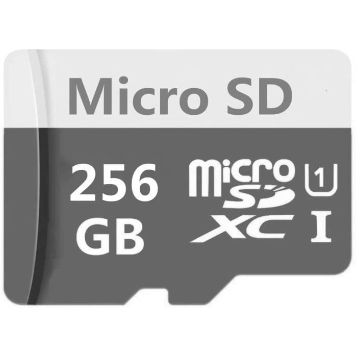 Carte Micro SD 256 Go - 400 Go - 512 Go - 1024 Go Carte mémoire Flash TF Classe 10 Carte Micro SDHC avec Adaptateur (256g81