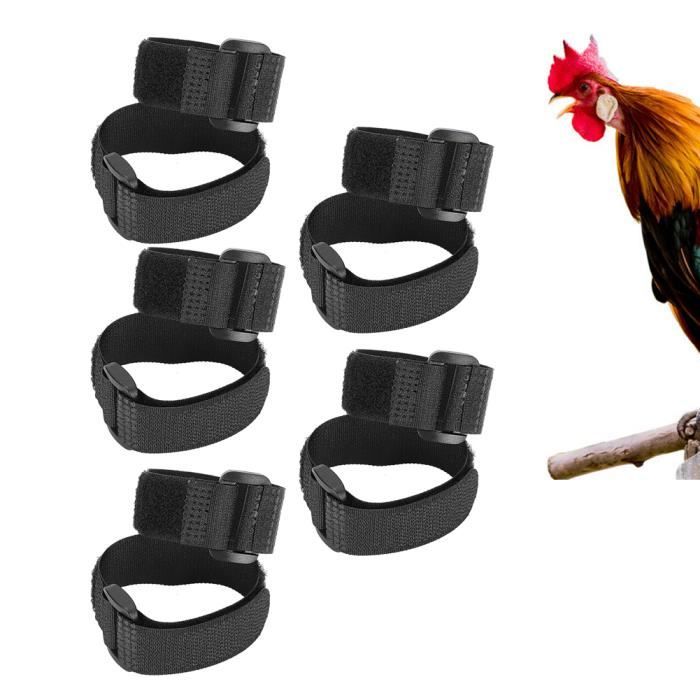 10pcs Collier anti-crochet sans bruit pour empêcher les poulets de crier Collier pour coqs d'animaux de compagnie(Noir)