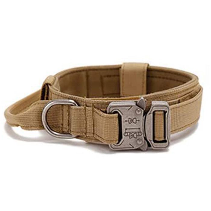 Collier réglable pour chien, confortable et respirant, avec boucle en métal et anneau en D pour l'entraînement des chiens de taille