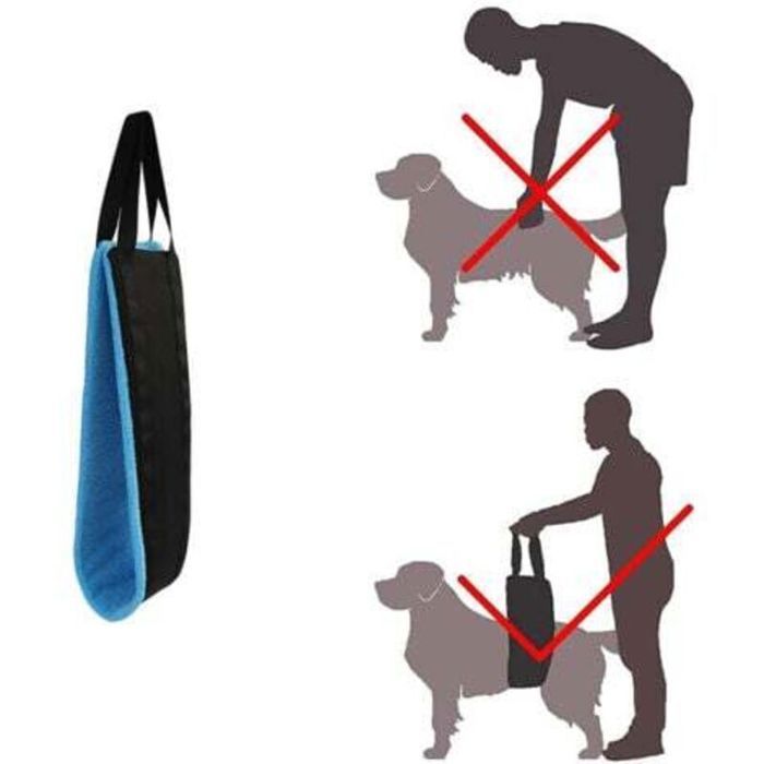 Harnais de soutien pour chien - PZCC - Portable - Soutien des hanches - Aide à la mobilité - Rembourrage confortable