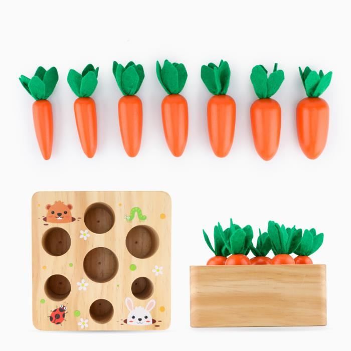 Jeux Montessori, Jouet Enfant 2 en 1 Garcon Fille Éducatif, Jouet en Bois,  Récolte de Carottes, Reconnaissance des Fruits, des Forme - Cdiscount  Beaux-Arts et Loisirs créatifs