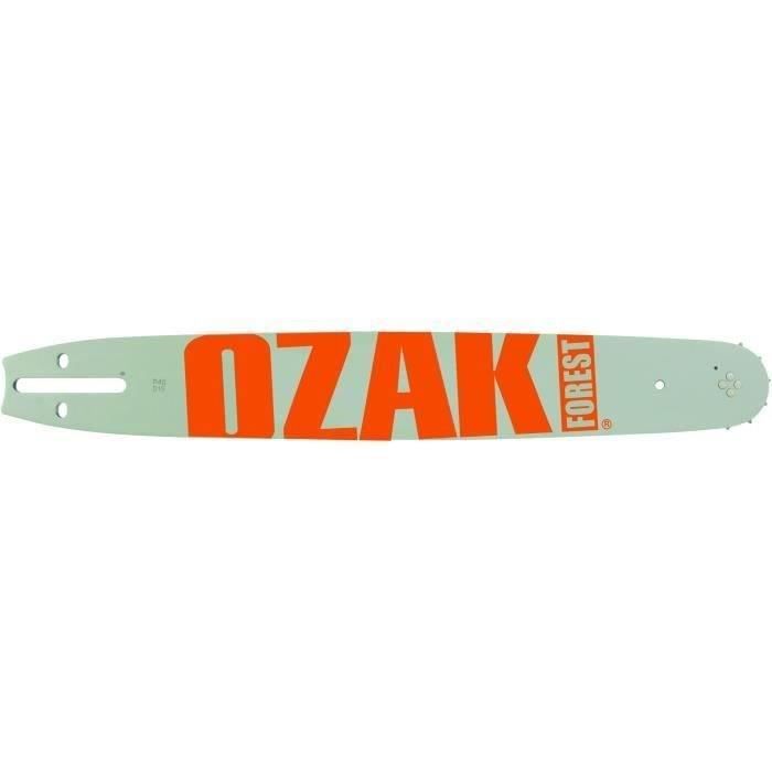 Guide de tronçonneuse OZAKI Pro-Steel pour ECHO-SHINDAIWA/SDK/ISEKI 45cm .325 LP .058 72 entraîneurs