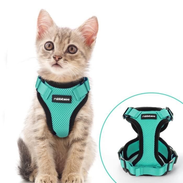 Harnais Chat Harnais Pour Chaton Petit Chien Harnais Anti Traction Taille Xs Vert Cdiscount