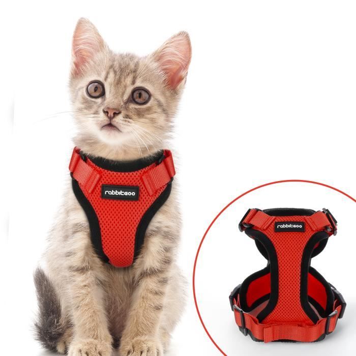 Harnais Pour Chaton Xxxs Cdiscount
