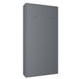 Armoire lit escamotable SMART-V2 gris graphite mat couchage 90*200 cm. gris bois Inside75-1