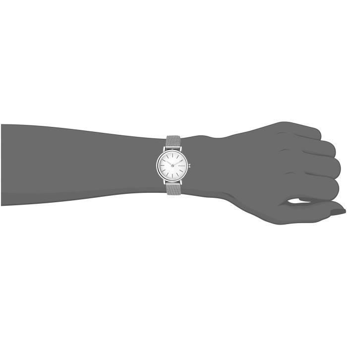 Skagen skw2441 hotsell