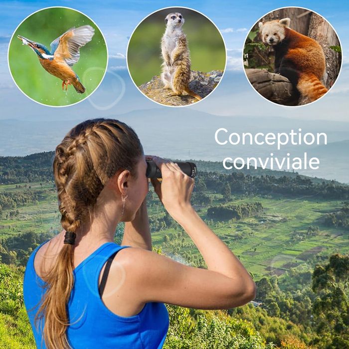 Exploravision - Gator Binoculaire De Deluxebase. Binoculaires Portables Et Compacts Des Animaux Sauvages Pour Les Enfants Explorateur Animal Du~p135042875