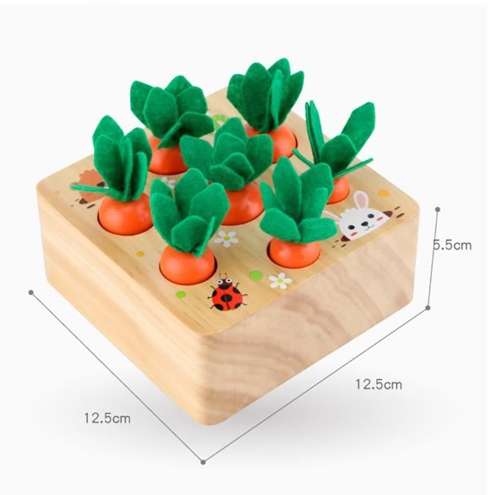 Jouets en bois Montessori Forme Taille Tri Puzzle Carottes Récolte