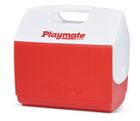 Glacière - Igloo - Playmate Elite - 15 Litre - Rouge - Conception iconique