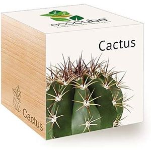 TERREAU - SABLE Feel Green Ecocube Cactus Exotics, Idée Cadeau (100% Ecologique), Grow-Your-Own-Kit Prêt-à-Pousser, Plantes Dans Des Cubes En Bois 7