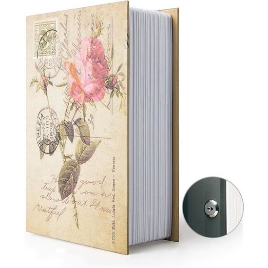 Bote De Rangement Pour Livre - FDIT - Coffre-fort En Acier Inoxydable