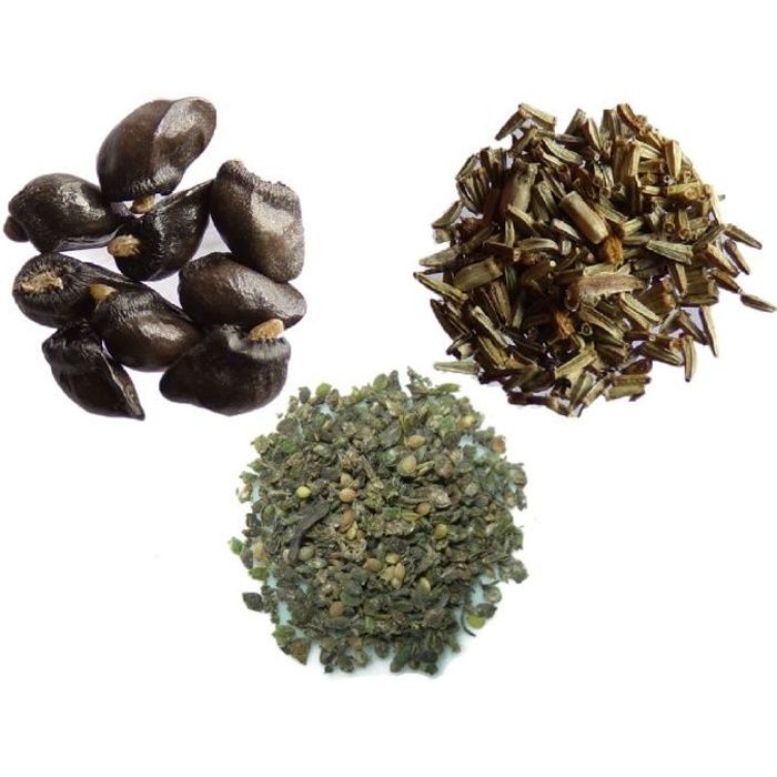 Vos Favoris Engrais Vert - 3 sachets: 1 sachet de Grande Consoude 30 graines + 1 sachet de Tanaisie1000 graines + 1 sachet d’Ortie D