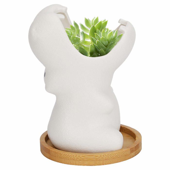 FLORASHOW Pots De Fleurs Succulentes, Matériaux En Cristal Blanc