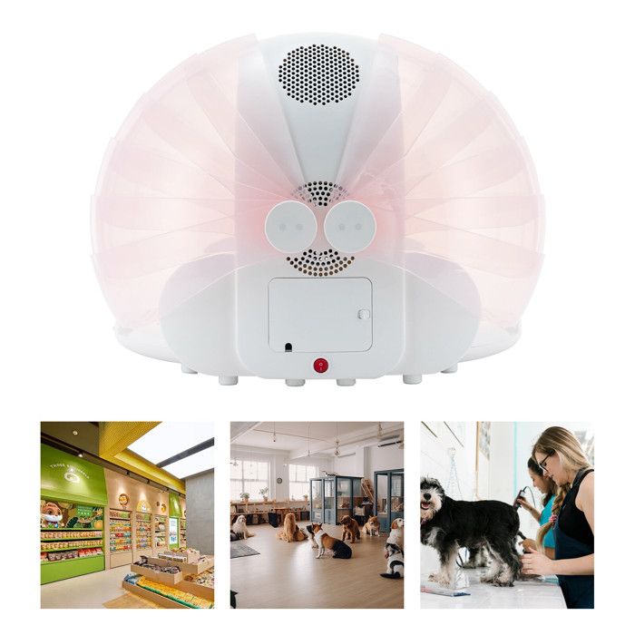 Meilleurs prix pour Séchoir automatique pour chats et petits chiens  - Faible bruit - Pour la maison et les voyages