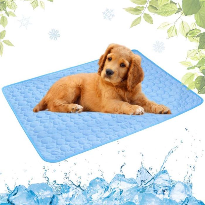 Tapis rafraîchissant pour animaux 40x50 cm – Idéal été portable & efficace (Bleu)