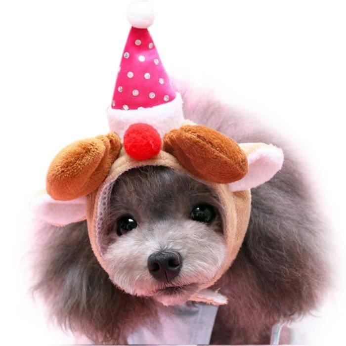 Chien De Noël Chapeaux Chiot Mignon De Chat De Chien