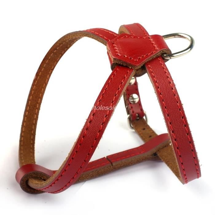 Gilet de Chien Harnais Maille Anti-/évasion sans /étranglement Gilet rembourr/é Sangles de Poitrine de Chat r/éfl/échissantes pour Animal de Compagnie S,Pink Coriver Ensemble Harnais et Laisse de Chat