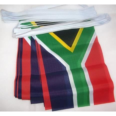 Drapeau De L'aique Du Sud Durban Illustration De Vecteur