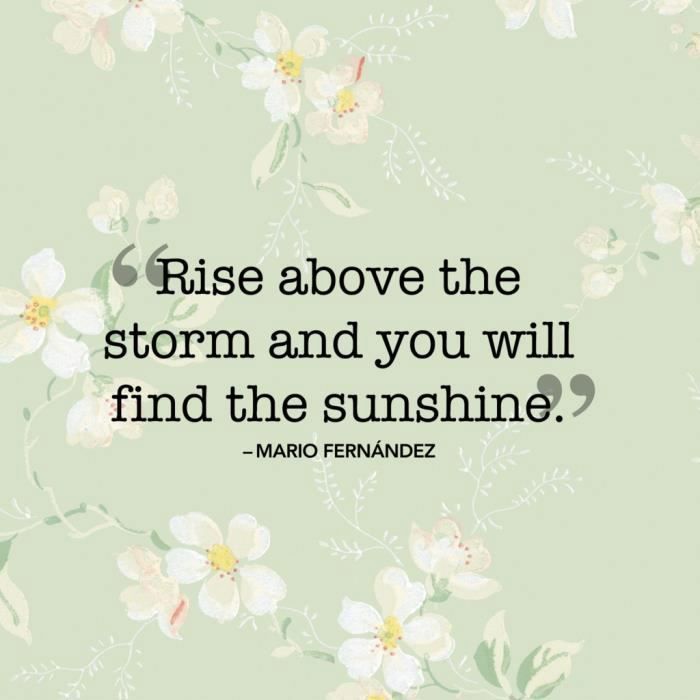 Poster Affiche Mario Fernandez Rise Above Citation Inspirante Motivation 31cm X 31cm Cdiscount Maison Poster Affiche Mario Fernandez Rise Above Citation Inspirante Motivation 31cm X 31cm Cdiscount Maison