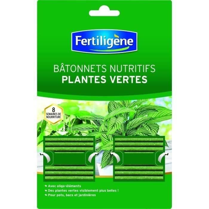 80 engrais Bâtonnets FLORAFIT engrais guano Depot engrais pour plantes vertes nutriments