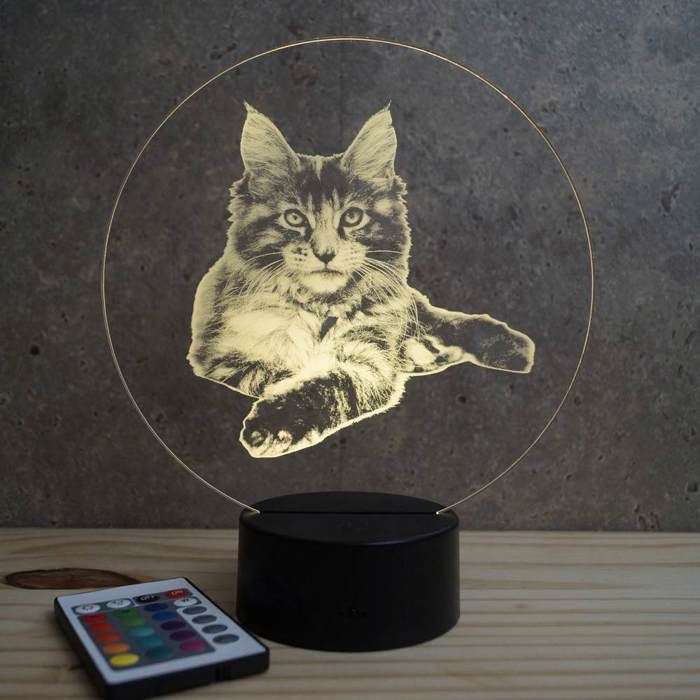 Lampe 3D Animal Chat Maine Coon – LED – Idée Cadeau – Fabriquée en France