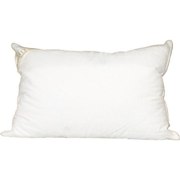 Oreiller microduv 60x60 Clearance