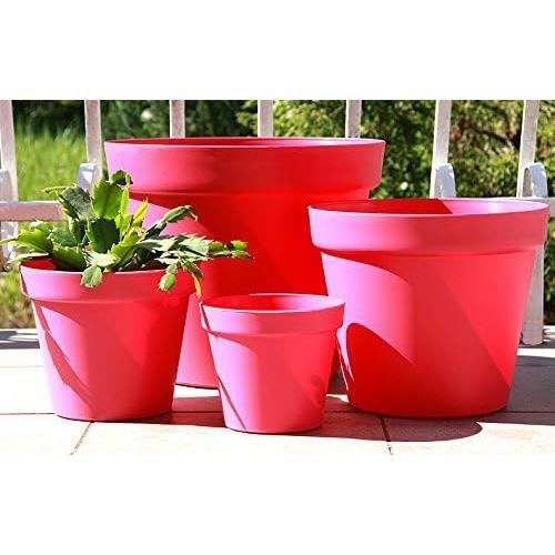 Clous à Fleurs Pour Décoration Gâteaux - Lot De 4 Tailles, Pour Pâtisserie, Roses En Glaçage