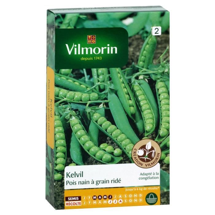 VILMORIN Pois Kelvil Sachet de graines - Création Vilmorin - Cdiscount ...
