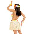 Kit hawaïenne - Naturel - Jupe en raphia, collier, serre-tête et 2 bracelets - Femme Adulte - Intérieur-1