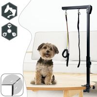 LZQ Bras de toilettage Réglable pour animaux de compagnie pliable Bras de table de toilettage pour chien avec pince et un harnais