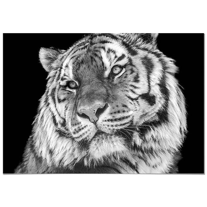 Impression sur toile tigre animaux 5 parties 170x100 cm set xxl
