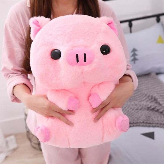 Kawaii Peluche Arc-en-Ciel Cochon Oreiller En Peluche Animal Cochon Poupee Matelas Mignon Fille Jouets Cadeaux Danniversaire Amz
