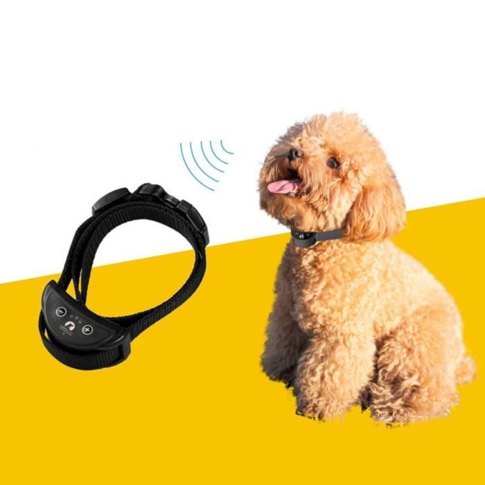 Collier de dressage pour chien PD258-S Collier anti-aboiements USB Dog Trainer