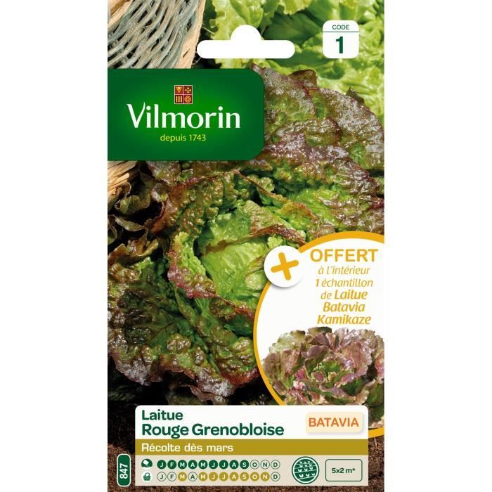 VILMORIN Sachet graines de Laitue Batavia rouge Grenobloise