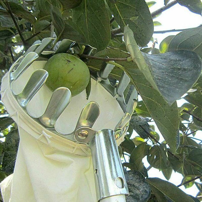Cueille-fruits Avec Sac - Pour Pommes, Poires, Agrumes - Tête Métallique Et Sac Coton - Outil Jardin Récolte