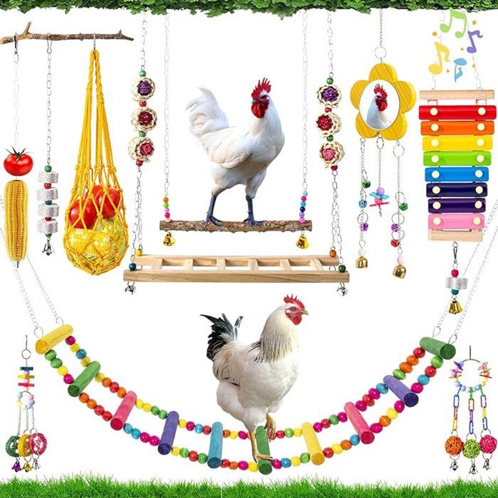 Ensemble de 10 jouets suspendus pour poulailler - Jouets pour poules - Accessoires pour poules - Balançoires - Échelles - Jouets à