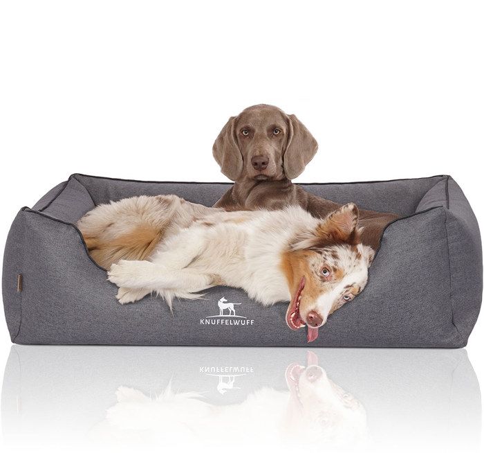 Meilleurs prix pour Knuffelwuff Wippo, orthopédique, XL, gris-bleu
