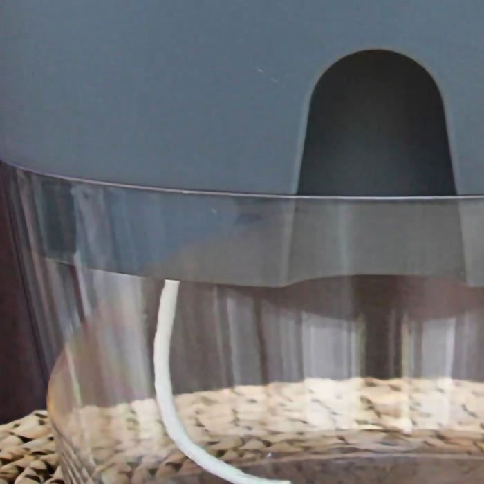 ESTINK Pot de fleurs transparent à double couche détachable avec