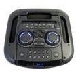 Ibiza Sound MOBILE800 - Enceinte Bluetooth Autonome Active 12"/30CM 800W AVEC TWS, Effets Lumineux, Micro & Trolley-2