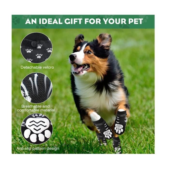 Chaussettes antidérapantes chien 2025