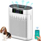 Purificateur d'air KNKA AP2000 - CADR 200 m³/h - Filtration en 4 niveaux à 99,97% - Pour 75 m² - Élimination des odeurs - Parfum