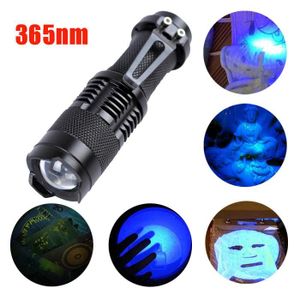 100-DEL puissant UV Lampe de poche//Blacklight Torch Lumière Argent rongeur detection