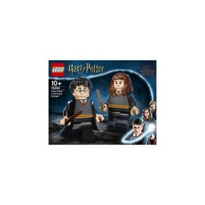 ASSEMBLAGE CONSTRUCTION LEGO® Harry Potter™ 76393 Harry Potter™ et Hermion