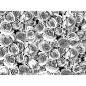 Téléchargement gratuit Images Papier Peint Photo Intisse 201471 Fleurs 300x223 Cm 6 Les Mural le plus cool salutations